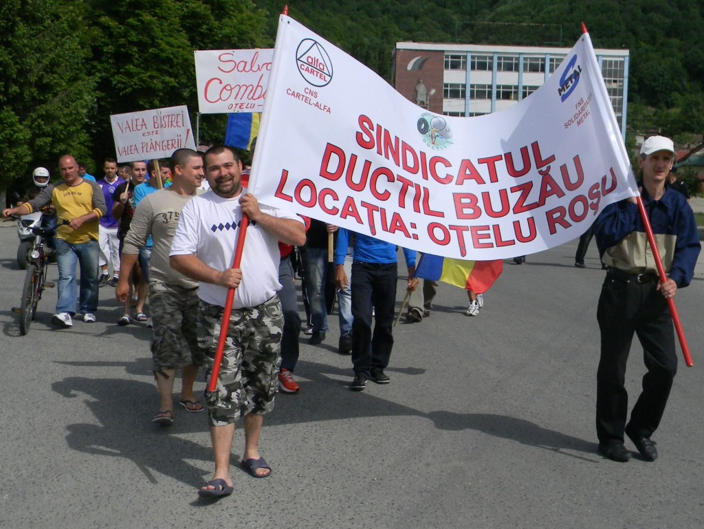 ductil proteste 7