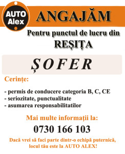 Anunt angajare resita