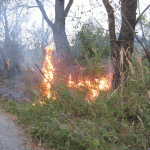 Măsuri de apărare împotriva incendiilor, la arderile necontrolate