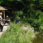 De sărbătoare, liberalii au dat la peşte