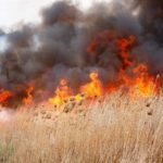 Arderea vegetaţiei uscate şi a resturilor vegetale