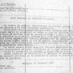 Alegerile parlamentare din noiembrie 1946, la Caransebeş, un vot furat