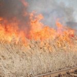 Măsuri de apărare împotriva incendiilor, la arderile necontrolate