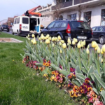 La Caransebeş a venit primăvara