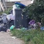 Poliţia locală se implică în problema deşeurilor