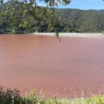 Miracolele naturii: A înflorit apa din lacul de la Poiana Mărului!