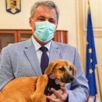 Se înfiinţează Poliţia Animalelor