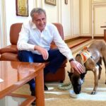Marcel Vela: „Căţeluşa Vreni, care participă la căutări în zonele afectate de cutremur din Turcia, a fost oaspete al Ministerului de Interne”
