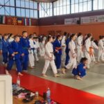 Tinerii judoka de la Caransebeş şi Oţelu Roşu, la Tabăra internaţională din Serbia
