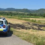 Amendă de 7.000 de lei pentru o mirişte incendiată, la Bucoşniţa