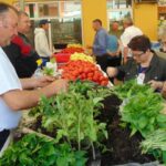 Preţuri în Piaţa Gugulanilor