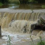 În zona Caransebeș a plouat în mai, nu glumă