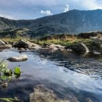Rewilding România vrea să elimine bariere în Bazinele hidrografice Sebeș, Bistra, Feneș, Cerna-Belareca și Pârâul-Rece